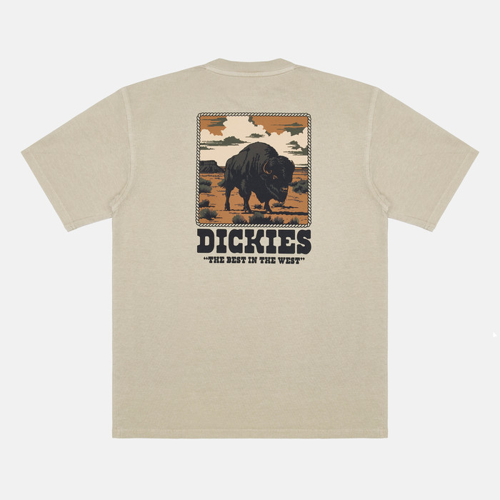 Футболка мужская Dickies Darrtown Short Sleeve Tee 