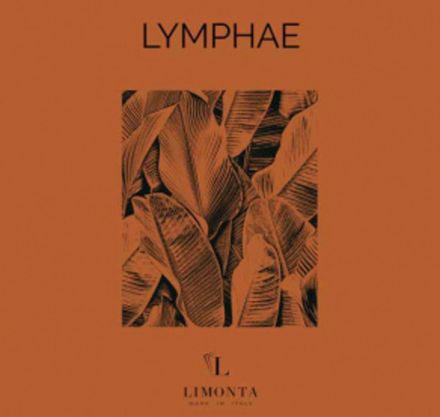 Lymphae