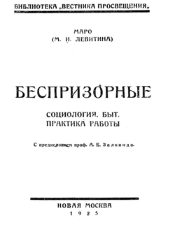 Беспризорные. Социология. Быт. Практика работы | Левитина Мария Исааковна