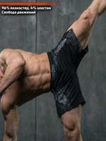 Шорты спортивные тренировочные LEGENDA Хохлома серая (3XL)