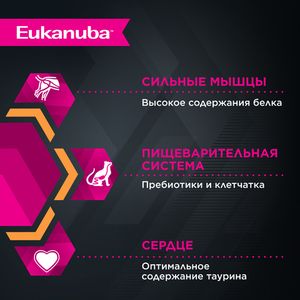 Пауч Eukanuba Adult Top Condition для взрослых кошек, c курицей в соусе