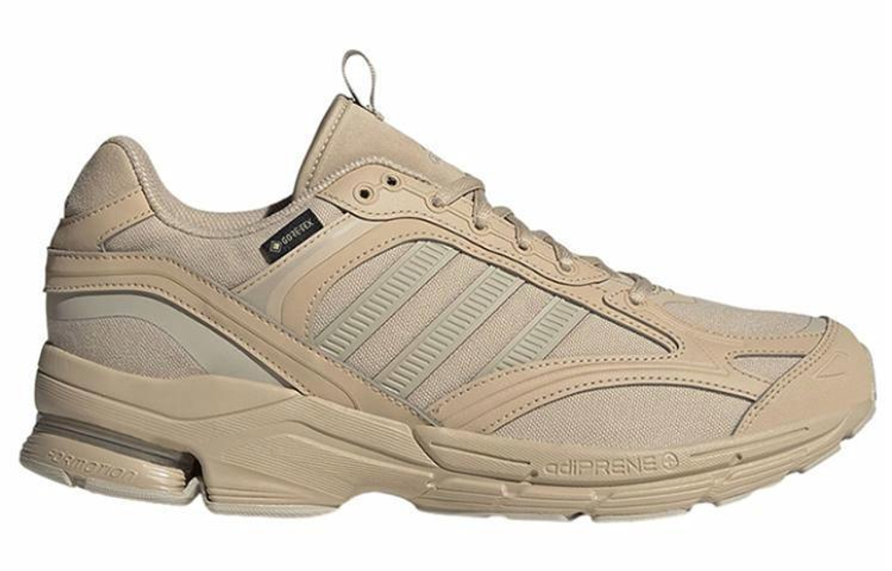 Кроссовки Adidas Spiritain 2000 Gtx