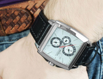 Мужские наручные часы Festina F16586/2