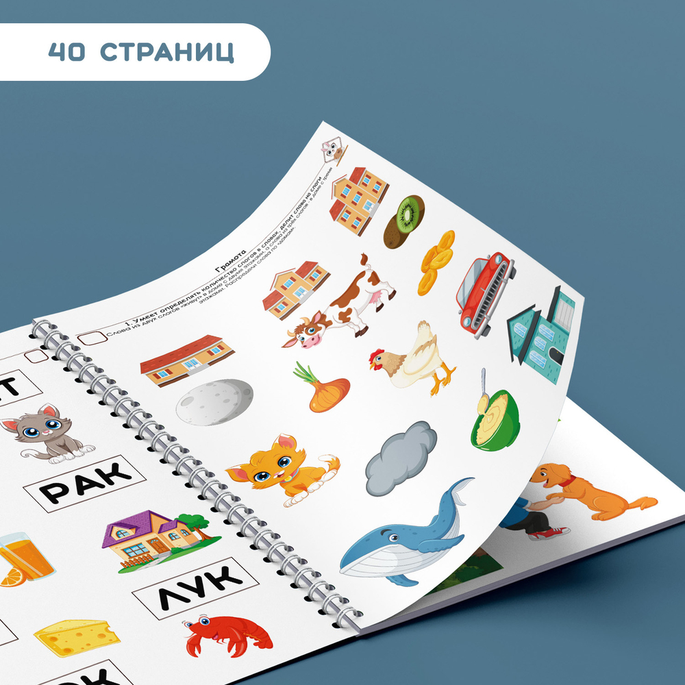 Диагностика знаний 5+ и 6+. Что крохе необходимо знать и уметь к школе