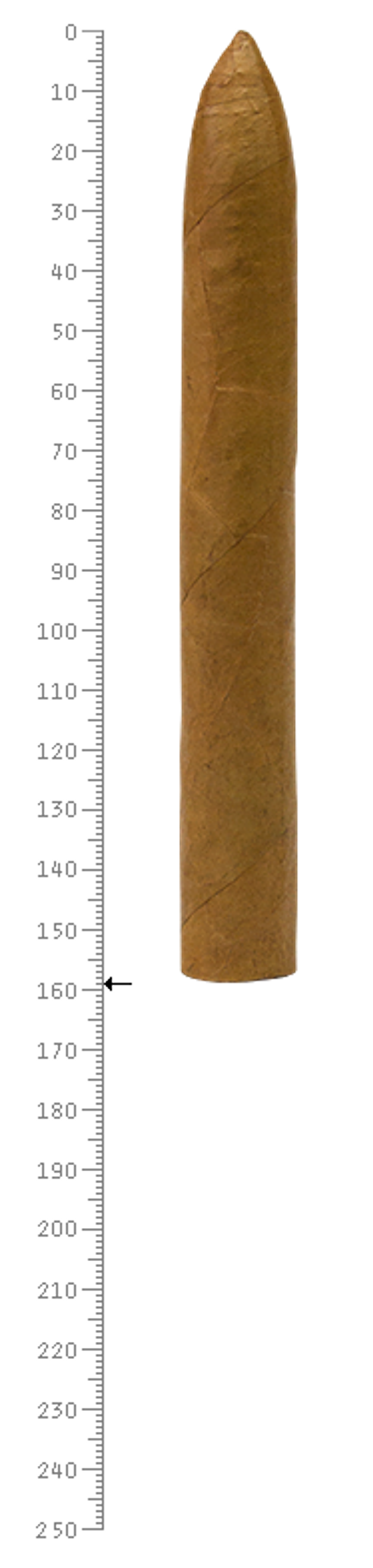 Vintage 2009 Torpedo