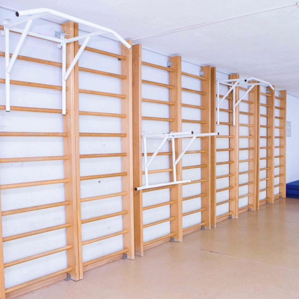 Брусья - турник навесные универсальные на шведскую стенку