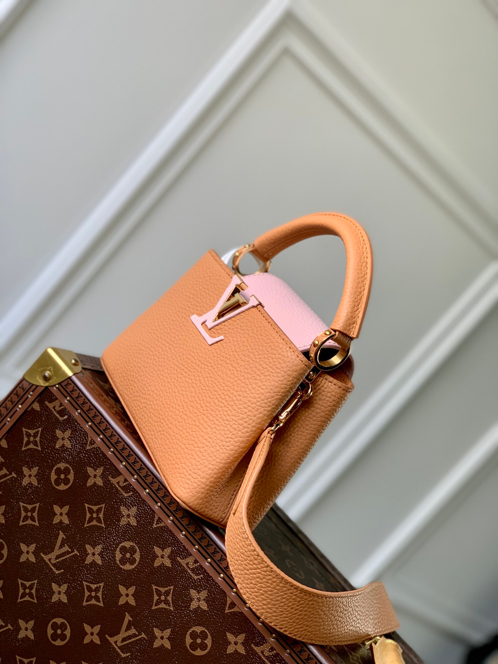 Louis Vuitton Capucines Mini