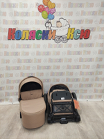 Коляска модульная Rant Flex Pro 2023 Beige