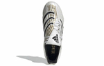 Кроссовки Adidas Predator Absolute Firm Ground Boots