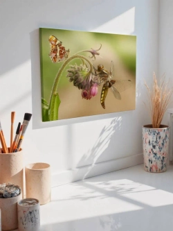 Картина на стену 40 X 50 Стрекоза