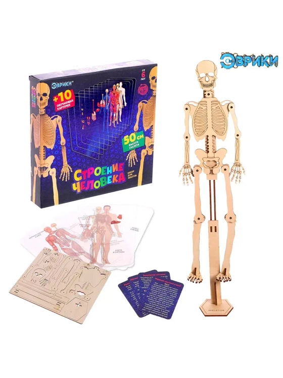 Набор для опытов и экспериментов Строение человека для детей