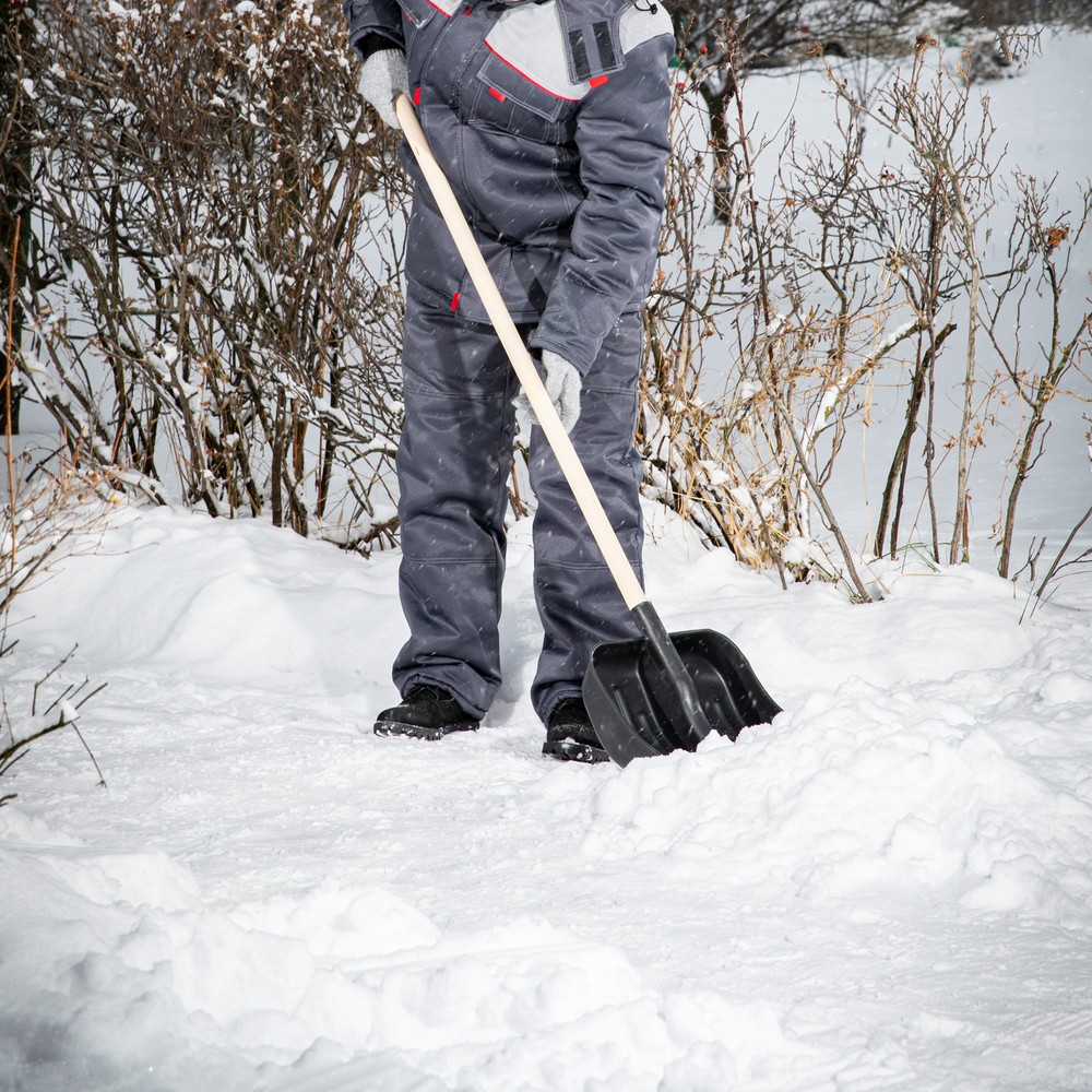 Лопата для уборки снега пластиковая, 360 х 405 х 1550 мм, деревянный черенок 1 сорт, Сибртех