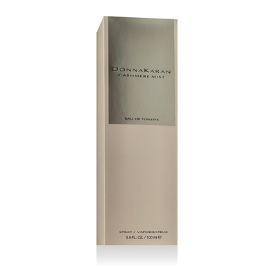 DKNY Donna Karan Cashmere Mist Eau De Toilette 100 ml (woman)