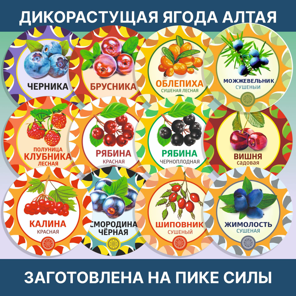 Слива сушеная с косточкой. Тернослив, слива.