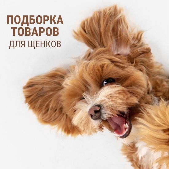 Подборка товаров для щенков