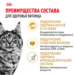 Сухой корм ROYAL CANIN Maine Coon Adult Корм для взрослых кошек породы Мэйн Кун - 0,4 кг