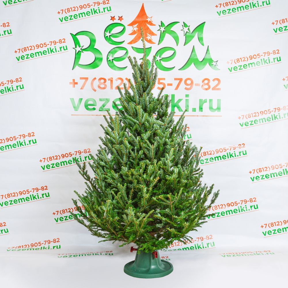 Фотогалерея