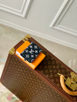Louis Vuitton Pocket Organizer