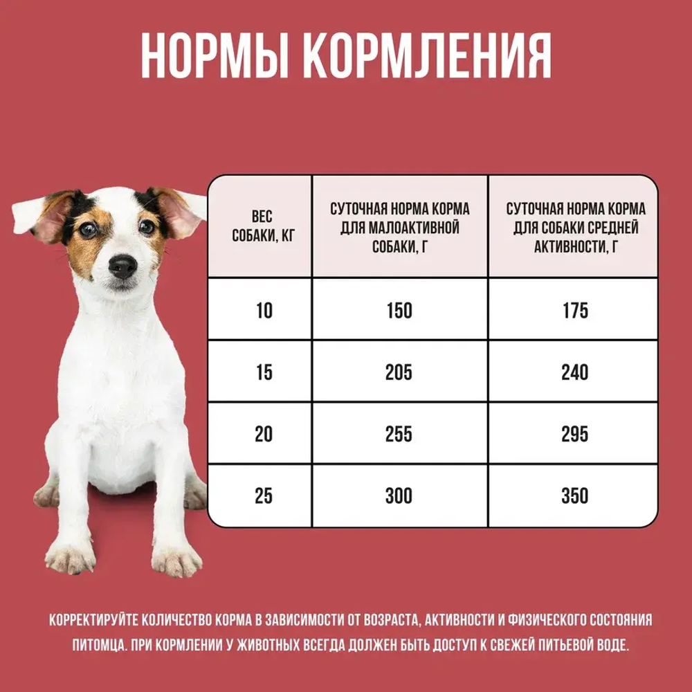 Сухой корм для собак средних пород с индейкой, курицей, свеклой BOWL WOW 5кг