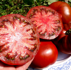 Помидоры Cherokee Chocolate