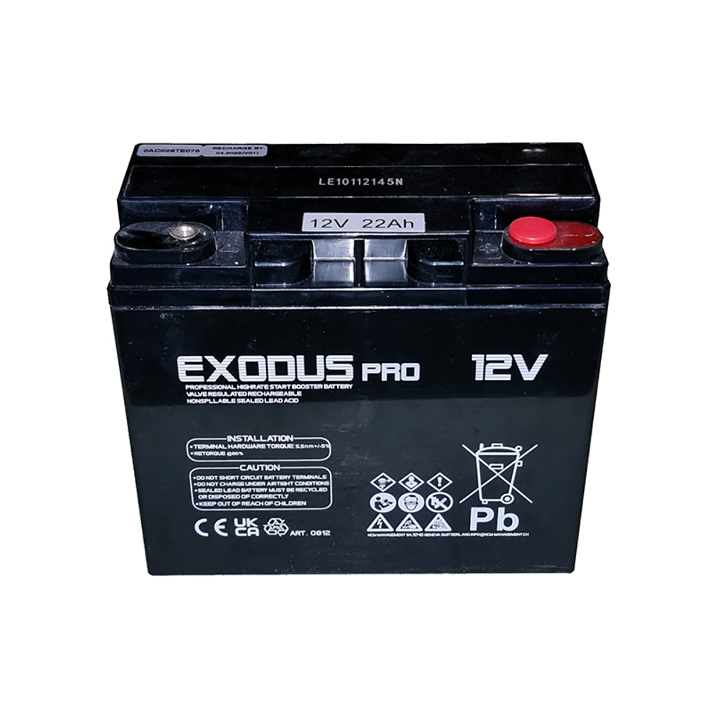 Батарея аккумуляторная 22 А*ч для Bocia EVO 12/24 / F4000-2 (LEM)