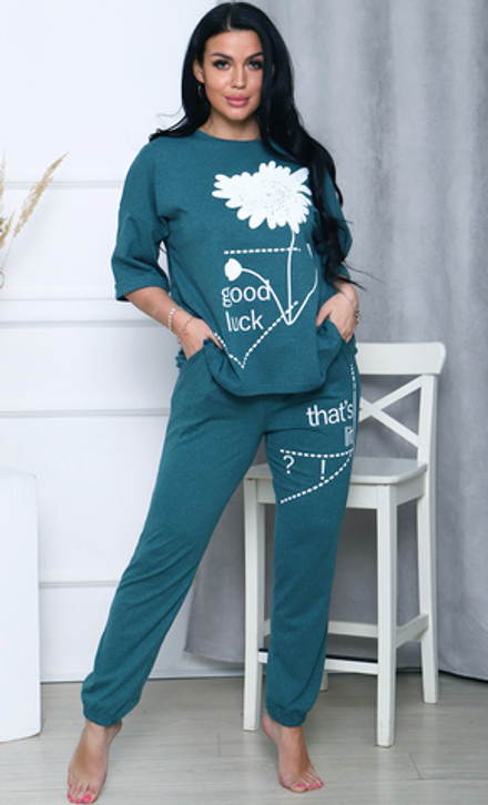 [m]Комплект штаны+футболка д/р(норма) М572