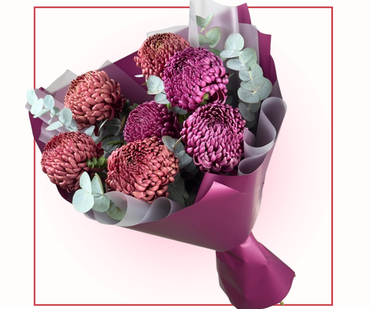 Хризантемы