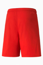 Шорты Puma teamLIGA