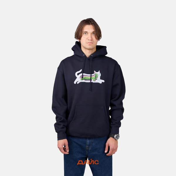 Толстовка мужская Ripndip Transnerm Hoodie артикул:RND10222 - купить в магазине Дайс