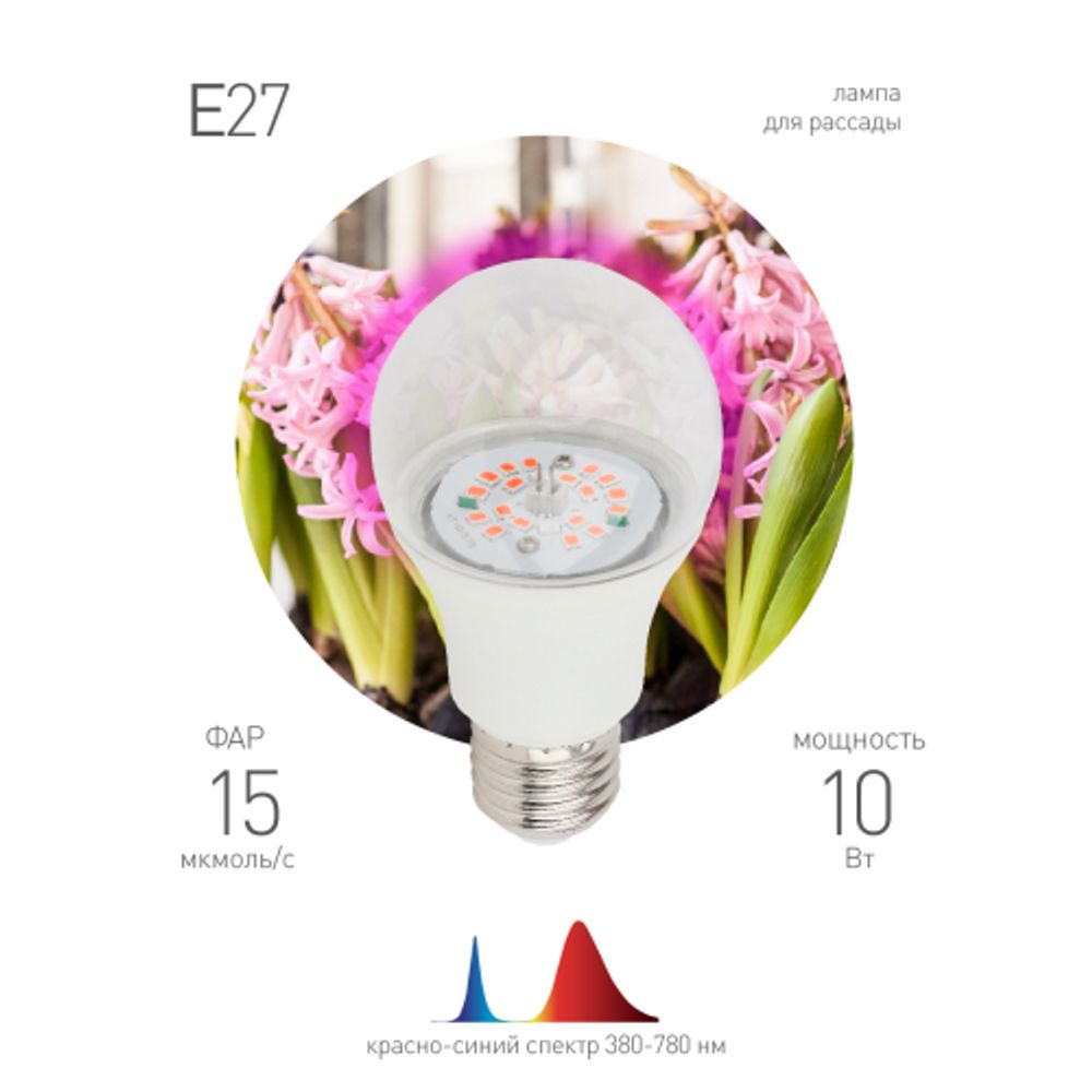 Фитолампа для растений светодиодная ЭРА FITO-10W-RB-E27-K красно-синего спектра 10 Вт Е27 | Фитолампы Е27