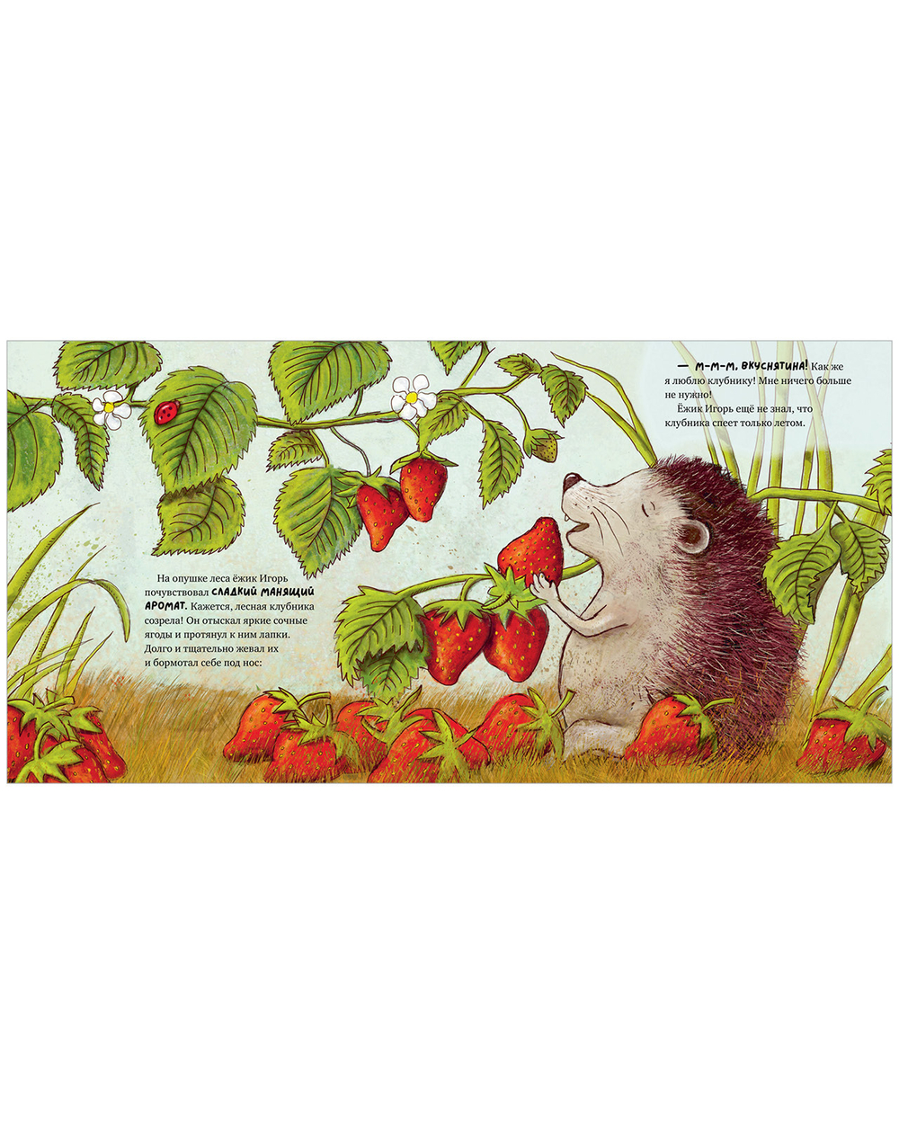 Книжки-картинки. Ежик Игорь недоволен