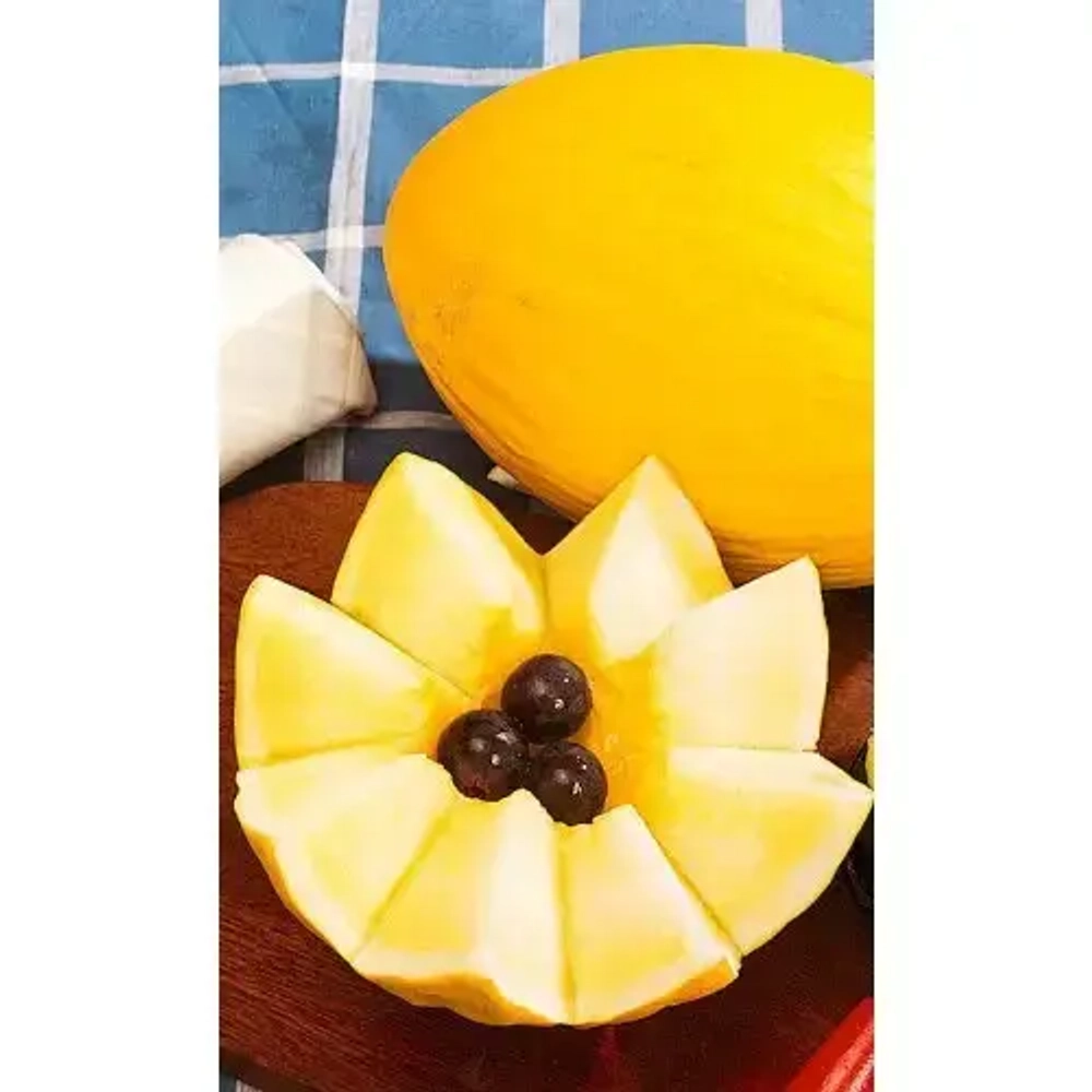 Семена Дыня Ранняя Сладкая (УД) 10шт Е/П