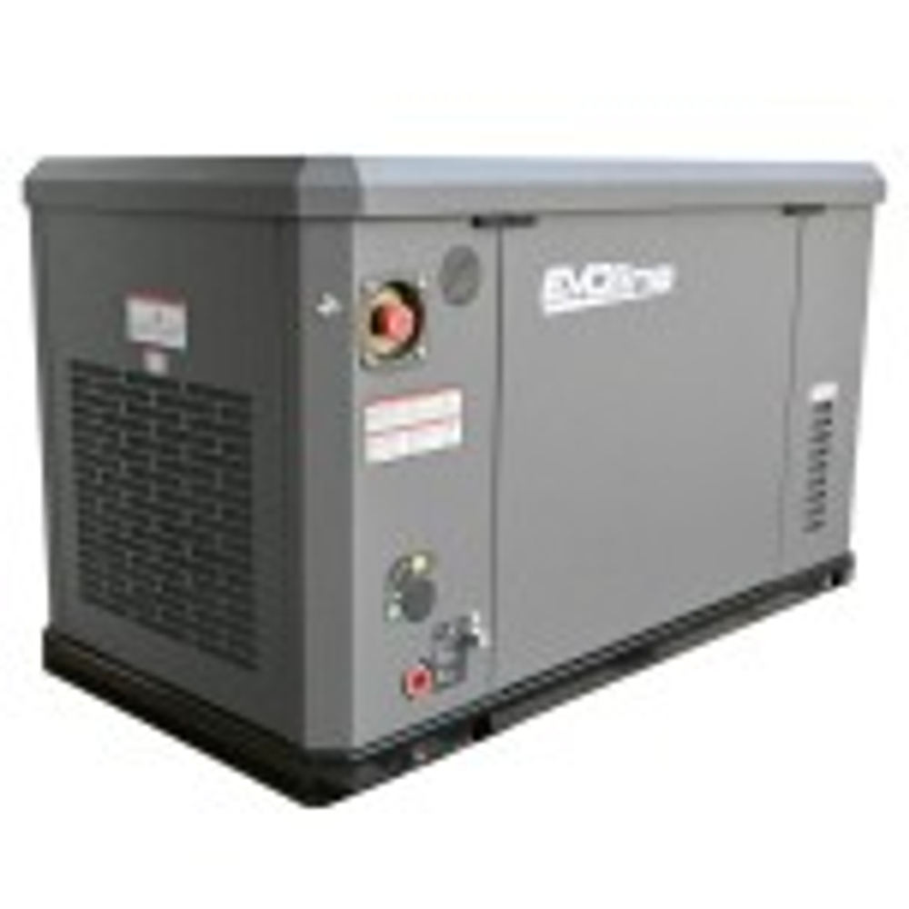 Газовая электростанция Evoline GNG 19000 E GNG19000E