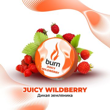 Burn ( Juice Wildberri ), 25 гр.