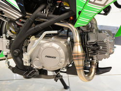 Питбайк PROGASI SMART 5 MINI 125CC GREEN 14/12 (Полуавтоматическая КПП)