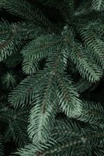 Большая елка «Царская» (Литая хвоя) от 3 м до 6 м