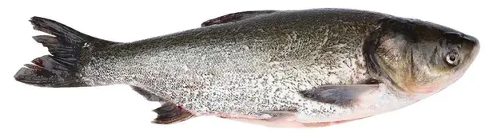 Толстолобик "Тхе" 1/3кг Алейников