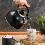 Чайник нерж, 2.5 л, свист, мат, ручк металл, Daniks, чер, GS-04001