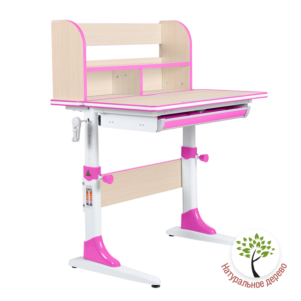 Растущая парта Anatomica Study-80 Lux (800×600 мм)