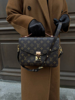 Louis Vuitton Pochette Métis