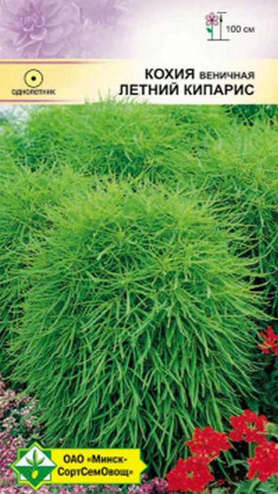 Кохия "Летний кипарис" 0.5г, Германия. Кохия "Летний кипарис" 0.5г, Германия.