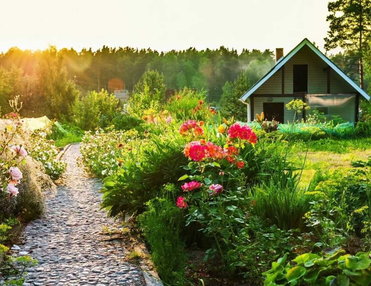 С диабетом на даче… Не забывайте о простых правилах!