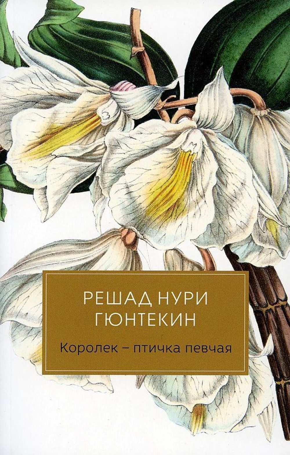 Королек  птичка певчая, изд.: Рипол, авт.: