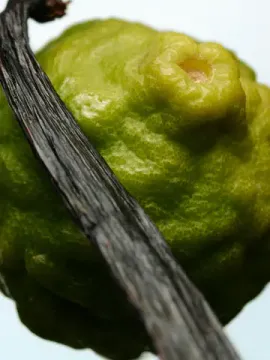 Dries Van Noten Sur Ma Peau