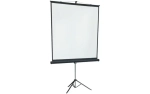 Экран на штативе Lumien 183x244 см (4:3) LMV-100108