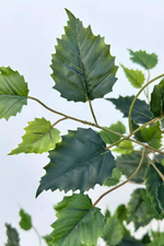 Береза 120см (тёмный ствол)