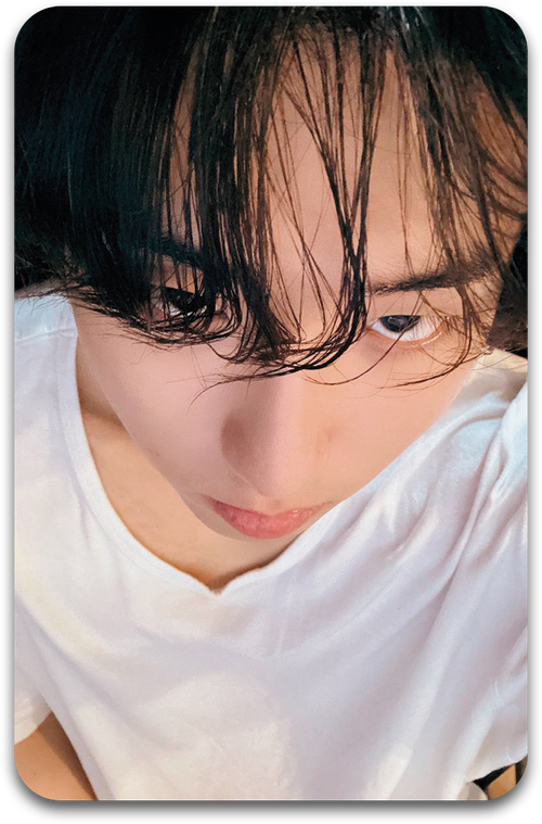 Карта / STRAY KIDS #1125