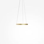 Подвесной светильник Maytoni MOD058PL-L22BSK