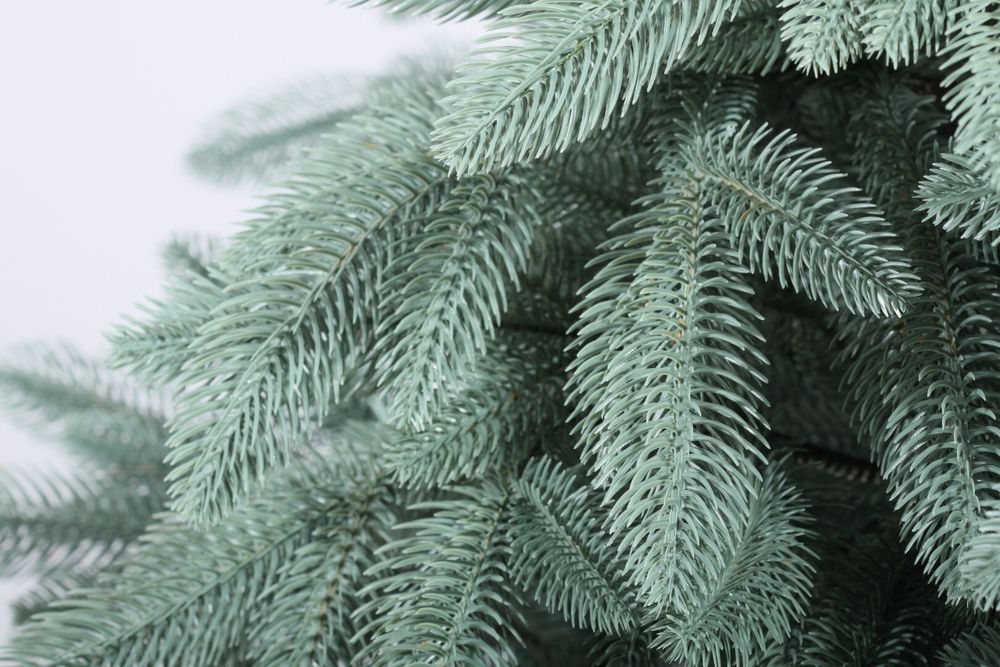 Голубая ель искусственная «Лагуна» (Литая хвоя) 250 см / 2,5 м